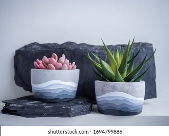 Cactus pot. Concrete pot. Two modern geometric concrete planters with painted with succulents plant on white wooden shelf isolated on white wall background.