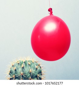 Cactus And Red Balloon, Close Up