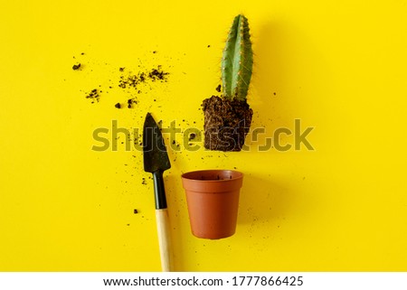 Similar – Image, Stock Photo Stacheliger grüner Kaktus mit oranger Blüte