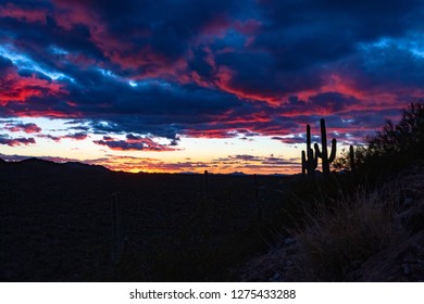 Cactus In Silhouette After A Colorful Sunset In Saguaro National Park West Of Tucson, Arizona. Purple, Pink, Red, Blue And Other Colors In The Clouds Of The Sonoran Desert Sky At Dusk. Winter 2018. 