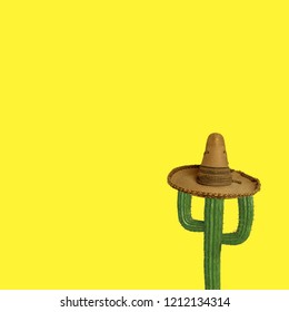Cactus With Sombrero On Color Background.