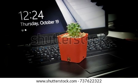 Cactus, tree on the thinkpad, computer too soft. Nature in the office, orange vase.