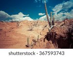 cactuses in desert, tatacoa desert, columbia, latin america, clouds and sand, red sand in desert, cactus