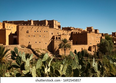 Cactuses, Palm Trees And Taourirt Kasbah In Ouarzazate, Morocco