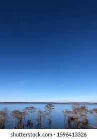 Caddo Lake In North Louisiana.