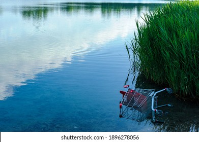 Caddy Pushed In The Water Of The Lake In The Suburbs Near Strasbourg, France.