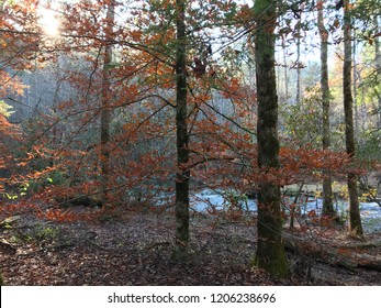 Cades Cove Winter Cold