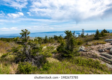 Cadillac Mountain In Acadia National Park In The Spring