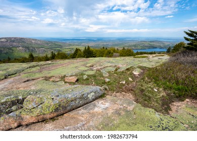 Cadillac Mountain In Acadia National Park In The Spring