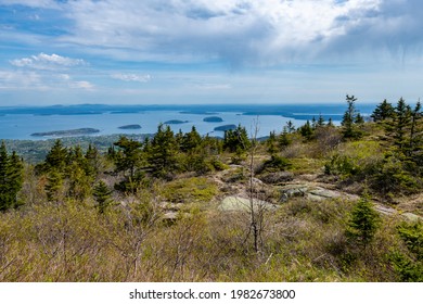 Cadillac Mountain In Acadia National Park In The Spring