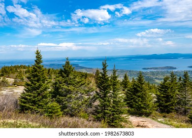 Cadillac Mountain In Acadia National Park In The Spring