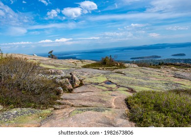 Cadillac Mountain In Acadia National Park In The Spring