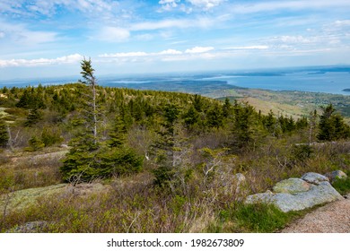 Cadillac Mountain In Acadia National Park In The Spring