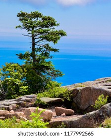 Cadillac Mountain Scene