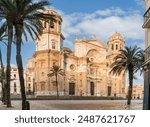 Cadiz Cathedral facade surrounded by palm trees in Andalusia, Spain