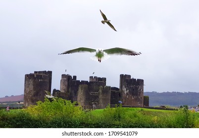 Caerphilly Castle and the Seagull，Wales