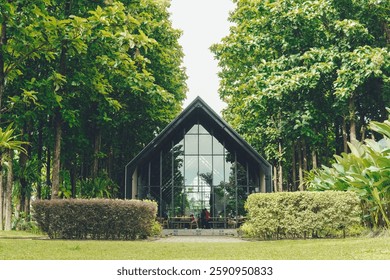 Cafe in the middle of forest with a lot of trees in the background. Green eco nature cafe concept.