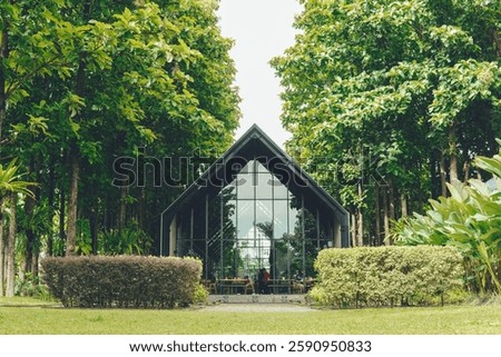 Cafe in the middle of forest with a lot of trees in the background. Green eco nature cafe concept.