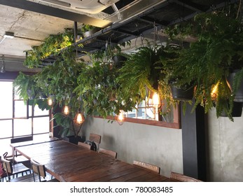 Cafe potted interior