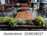 Cafes on the street, green plants decorate the restaurant, street food, wooden table, no people, empty chairs, an open-air city fast food restaurant. High quality photo