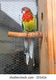 In cage