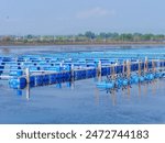 Cage farm in earthen pond. Aquaculture farm. Cultivation of fish