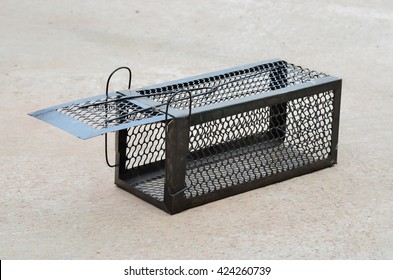 Cage Mousetrap
Animal Cage