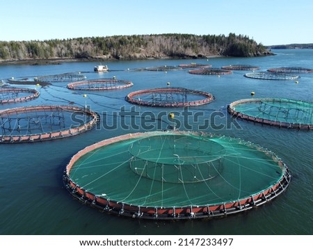 cage site aquaculture shot from different perspectives 
