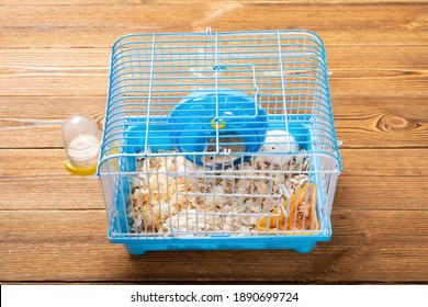 Cage With Two Small Hamsters