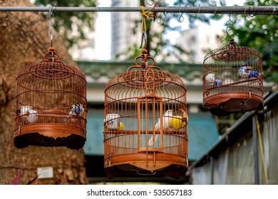 Caged Birds In Mong Kok Park