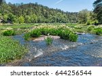 Cahaba River 2017 season beautiful sky and reflections of Cahaba Lily and sky on the river
