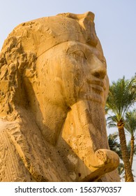 Cairo, Egypt - October 30, 2019: View Of The Sphinx Of Memphis In The Mit Rahina Museum. 