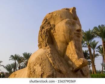 Cairo, Egypt - October 30, 2019: View Of The Sphinx Of Memphis In The Mit Rahina Museum. 