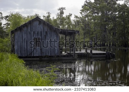 Cajun cabin in a Louisiana swamp.