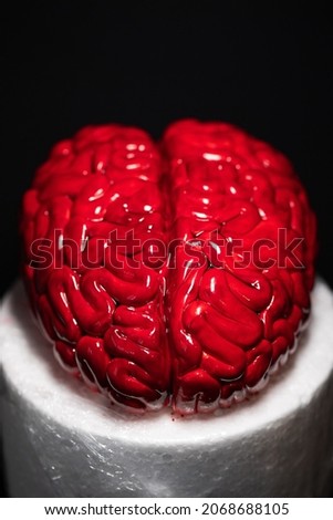 cake art concept image, brain from sugar paste. Sugar art cake. Art concept image, brain from sugar paste. Sugar art. Close up of Human brain Anatomical Model