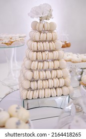 Cake bar on wedding. Differnt type of sweeties on the table. Eclair, cake pops, muffins and mamy others desserts. Tower of macarons
