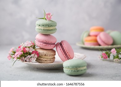 Cake french colorful macarons of pastel color