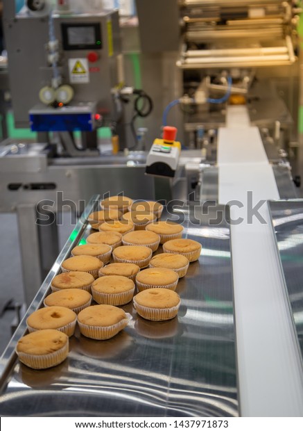 Cake package on cake flow\
wrapping packaging machine in bakery production line. Food\
industry