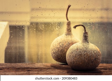 Calabash dry on wooden beside window