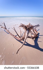 Caladesi Island State Park, Florida