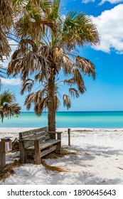 Caladesi Island State Park Nature