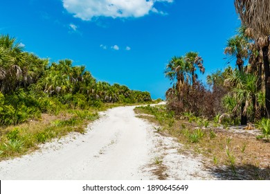 Caladesi Island State Park Nature