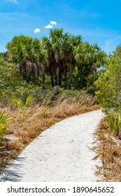 Caladesi Island State Park Nature