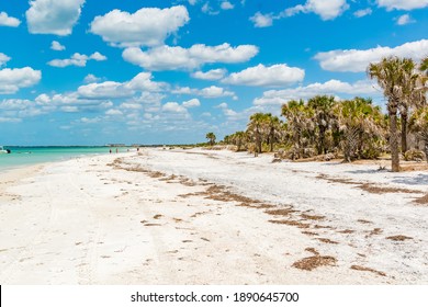 Caladesi Island State Park Nature