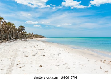 Caladesi Island State Park Nature