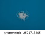 Calcium nitrate in Petri dish. Inorganic salt of nitric acid. Other names: Kalksalpeter, Norgessalpeter, nitrocalcite, Norwegian salpeter. Calcium nitrate is applied as a fertilizer for all crops.