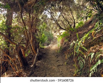 Caldera Taburiente, La Palma, Canary Islands