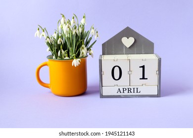 Calendar For April 1: Cubes With The Numbers 0 And 1, The Name Of The Month Of April In English, A Bouquet Of Snowdrops In A Yellow Tea Cup On A Blue Background