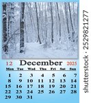 calendar for December 2025 with photo of snowy forest. Business calendar. calendar with photo. Monthly planner. December calendar for 2025. Daily organizer.