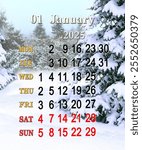 calendar for January 2025 with photo of winter forest. calendar for winter month with photo of spruces in snow. Monthly planner. January calendar for 2025. Daily organizer. Monday start